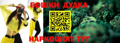 apvp Гусиноозёрск
